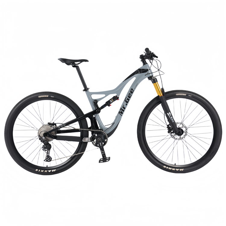 Carbon Fiber Bike 29 Inch Chin - Philippines Cycling Gear review and price