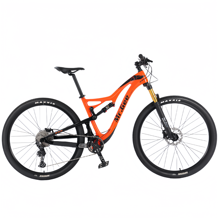 Carbon Fiber Bike 29 Inch Chin - Philippines Cycling Gear review and price