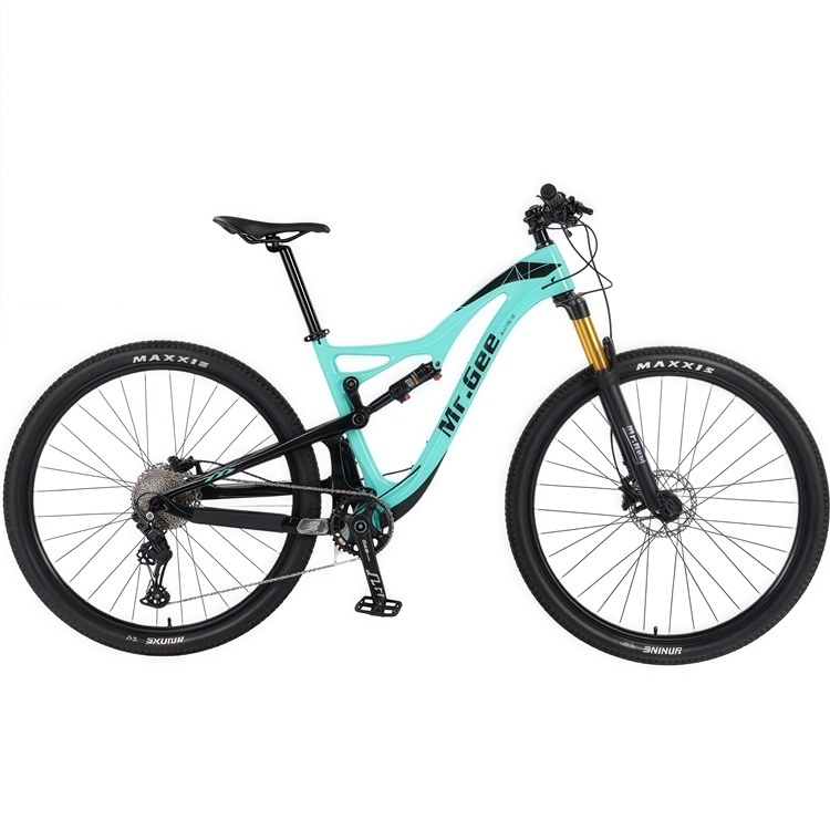 Carbon Fiber Bike 29 Inch Chin - Philippines Cycling Gear review and price